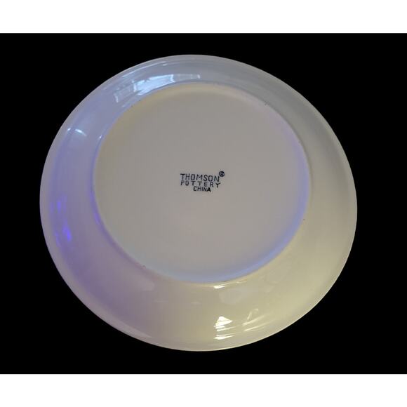 Thomson Pottery Birdhouse Dinner Plates Birds House Red Hearts Blue Jay set of 2 - Picture 8 of 9